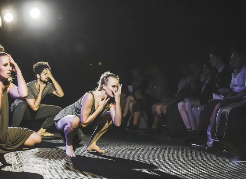 Auckland Arts Sector Faces Crisis With Council Draft Plan