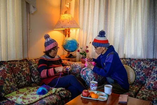 ‘‘Home is where the knitting is’’ wins 2022 Auckland Photo Day 