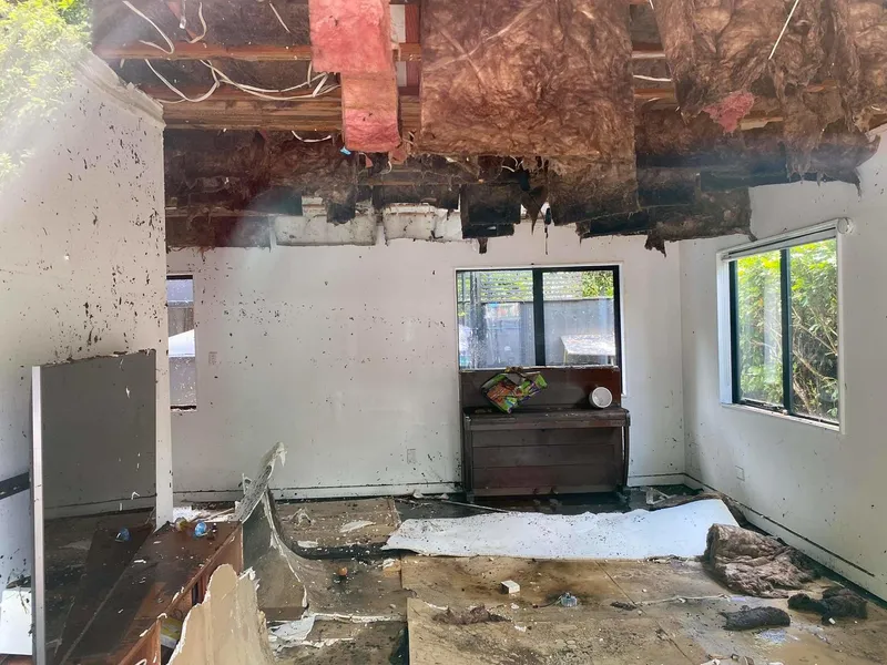 Creative Heartbreak, Aroha & Resilience In Auckland's Flooding State of Emergency