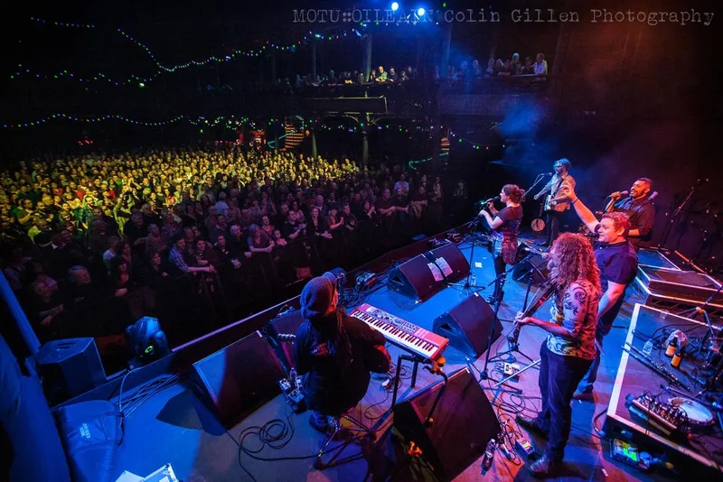 Trinity Roots and Irish Friends return to NZ this October